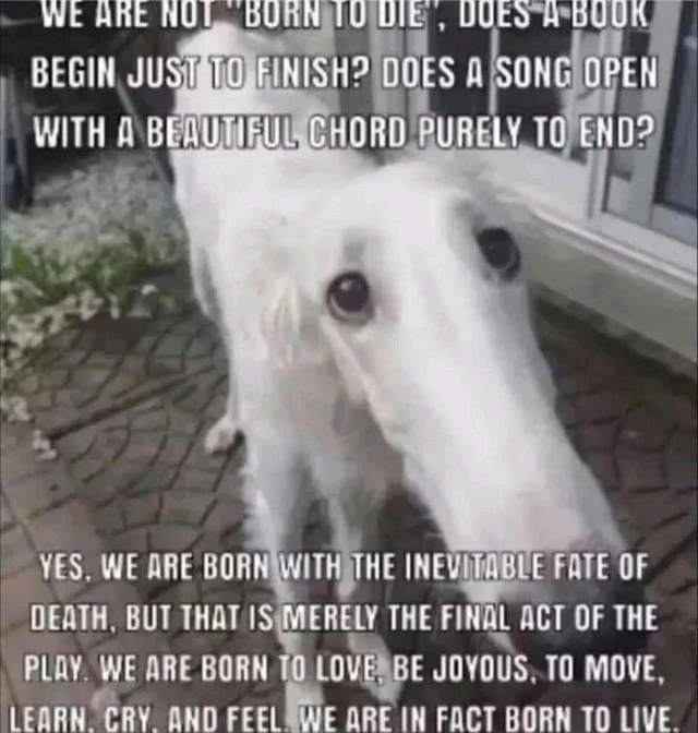 GIF dodany przez Dorian Wróblewski