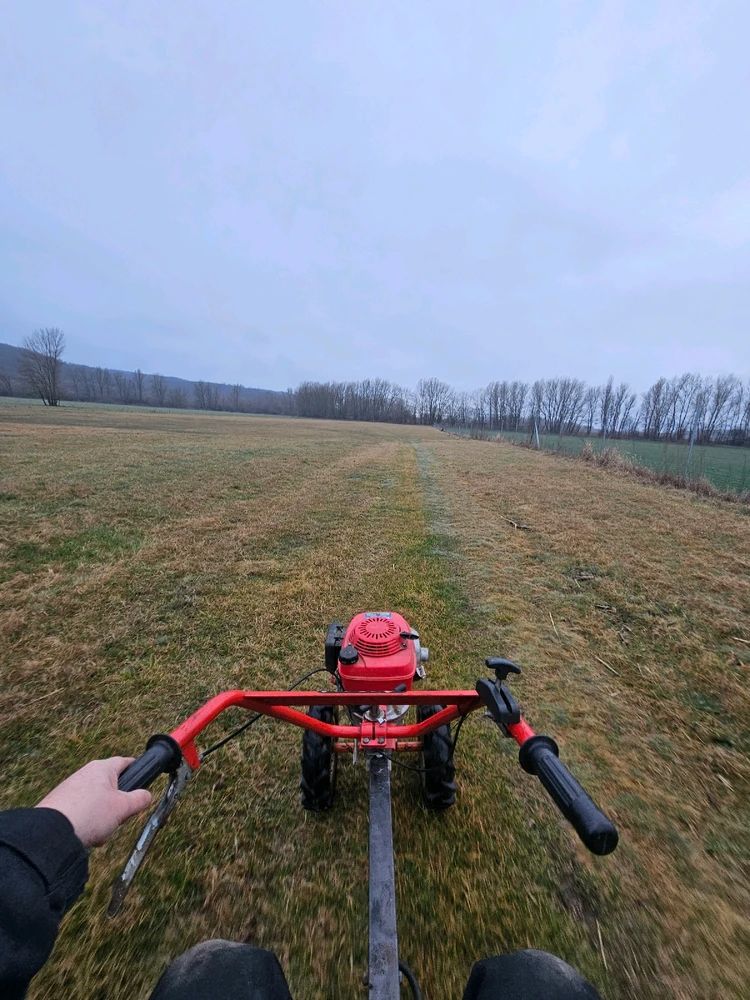 Viktor R. által feltöltött kép