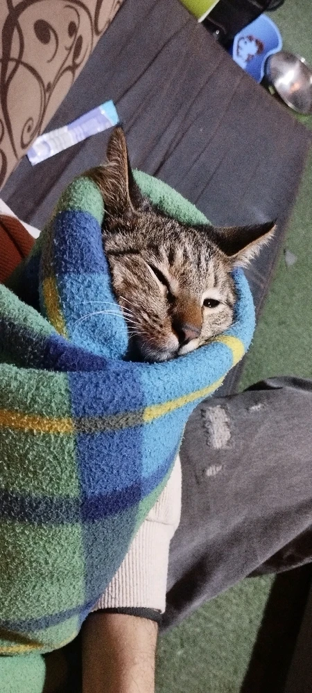 GIF آپلود شده توسط hadi