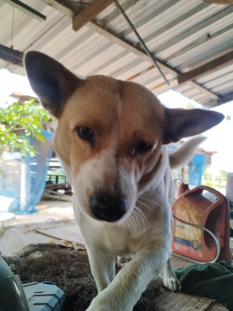 GIF อัปโหลดโดย Anu "누"