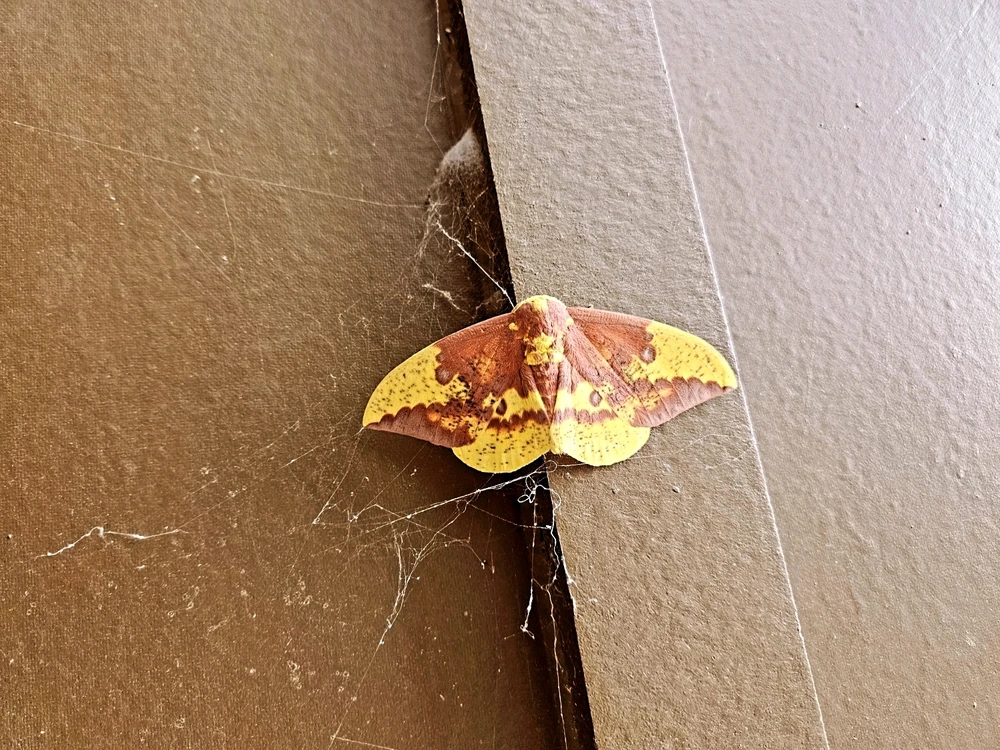 GIF uploaded by Chase