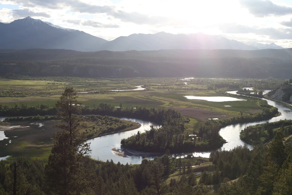 Image uploaded by Griffin