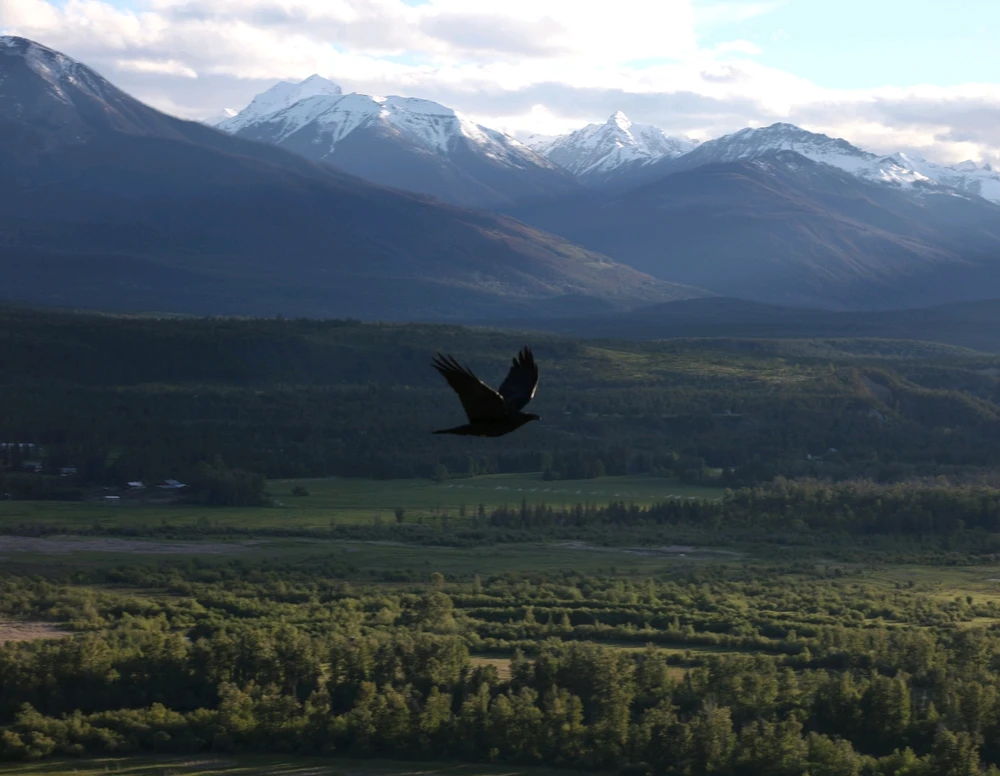 Image uploaded by Griffin