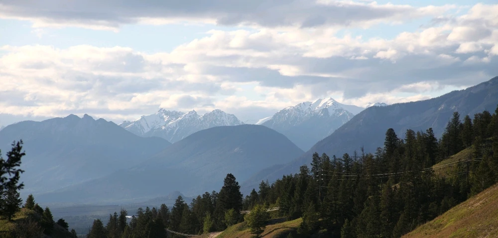 Image uploaded by Griffin