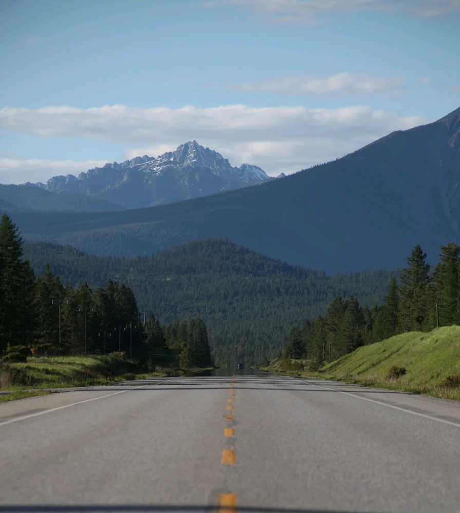 Image uploaded by Griffin