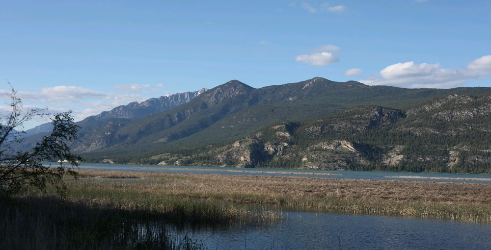 Image uploaded by Griffin