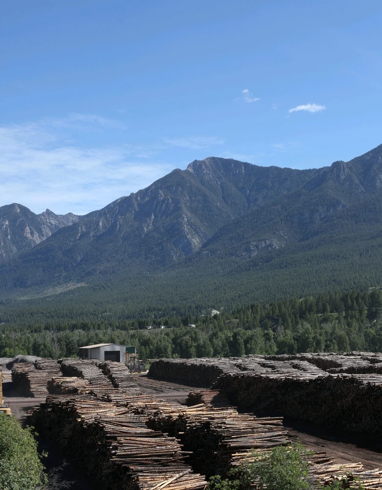 Image uploaded by Griffin