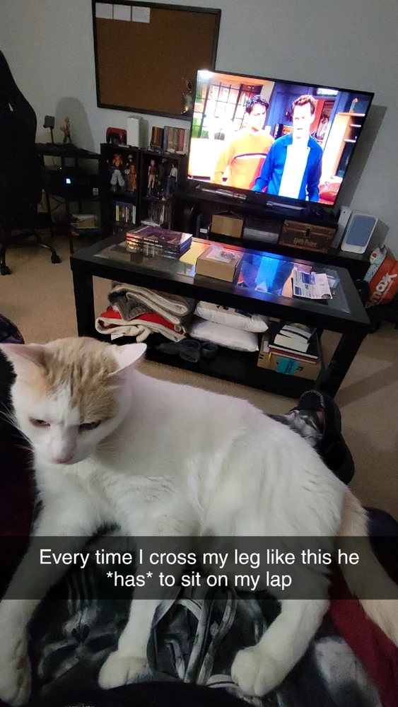 GIF uploaded by Michael