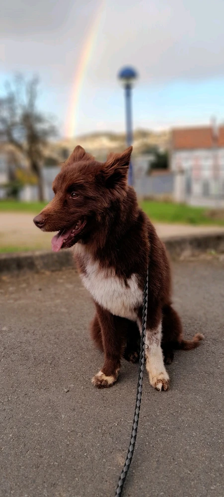 GIF uploaded by Jack