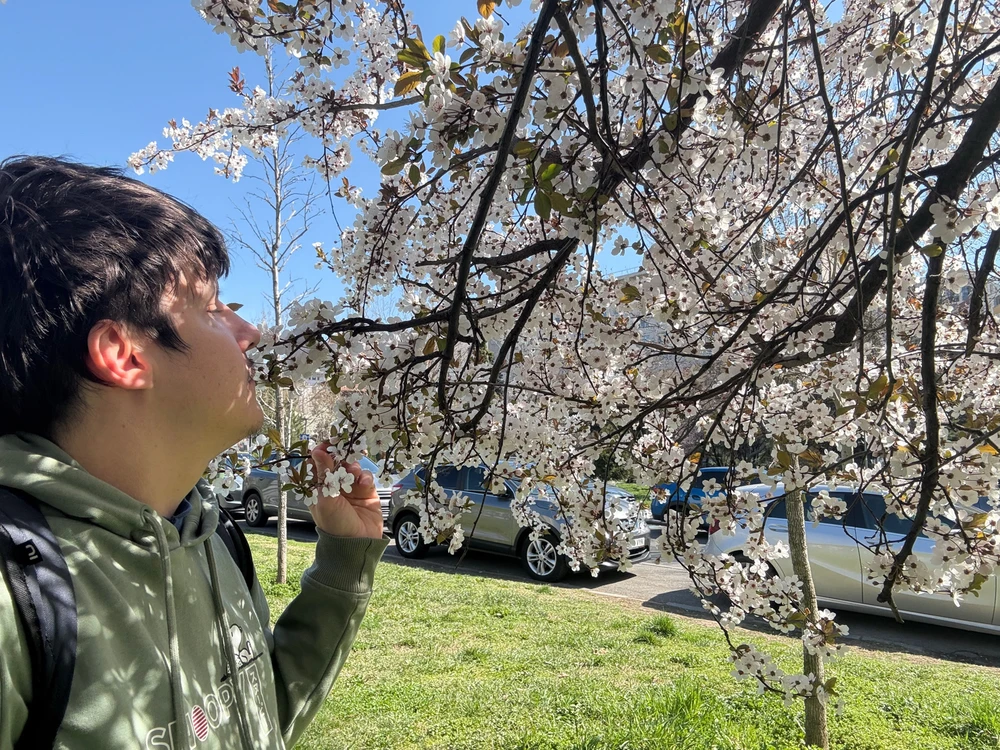 Imagine încărcată de Lucian