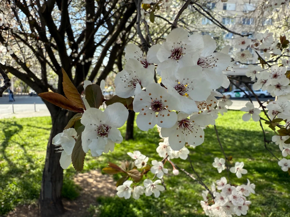 Imagine încărcată de Lucian