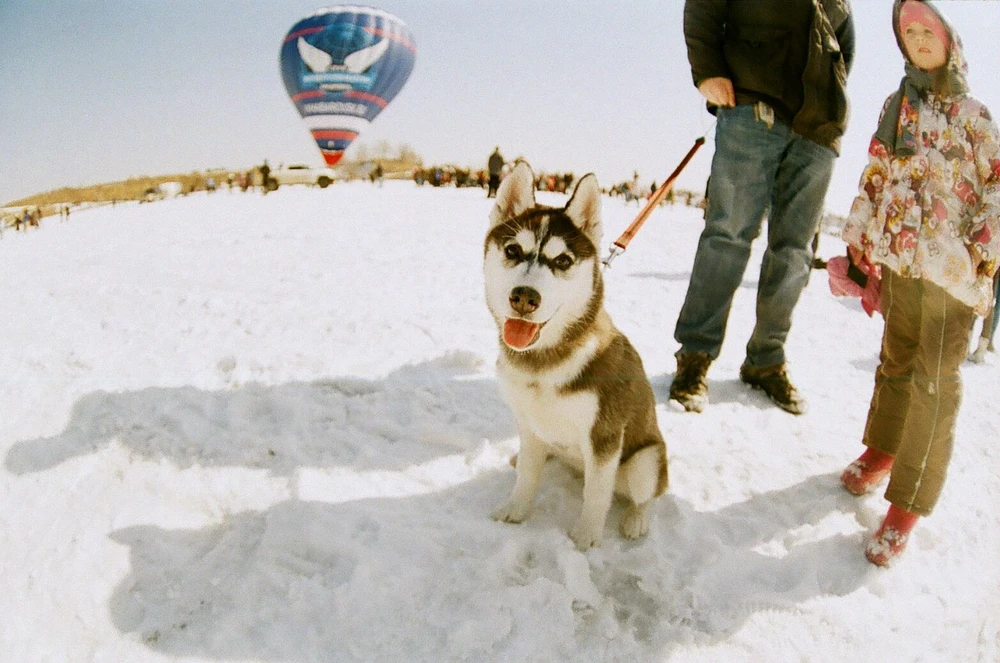 Фото загрузил Tanya