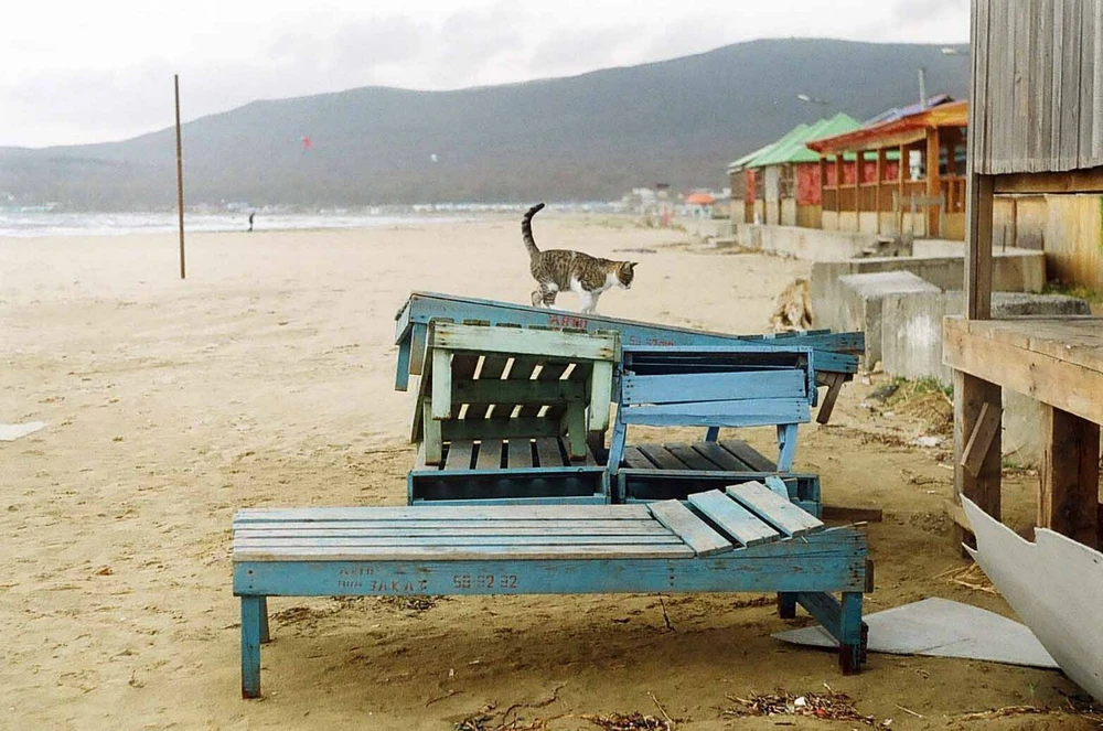 Фото загрузил Tanya