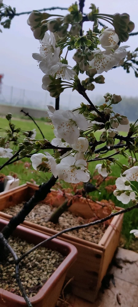 GIF caricata da Marco