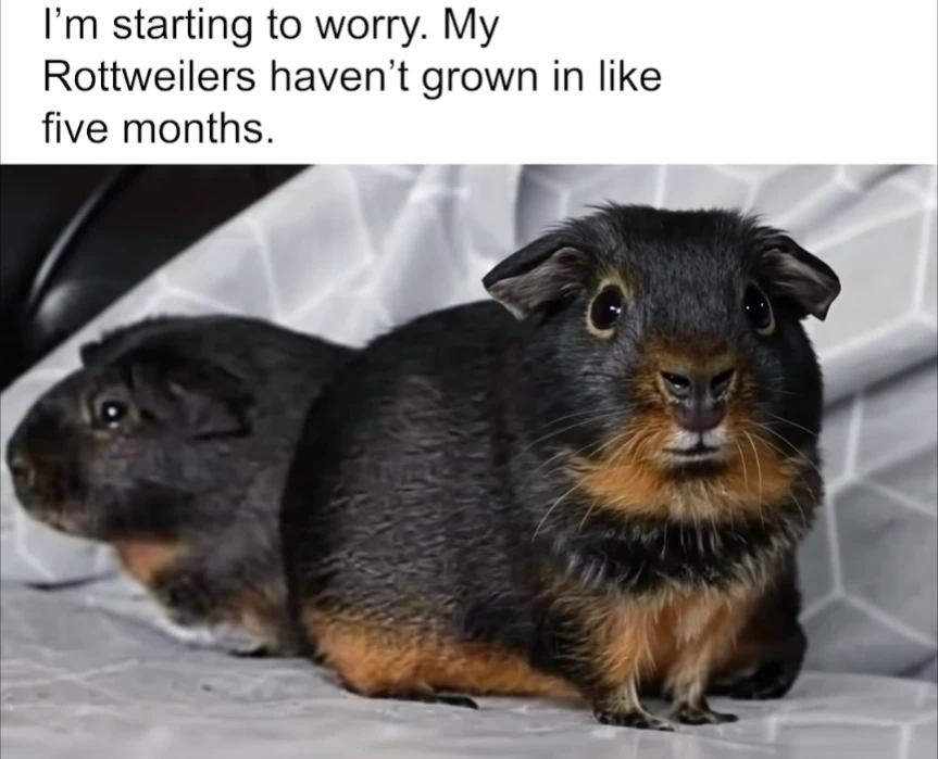 GIF uploaded by Roxanne ๐ณ๏ธโโง๏ธ ๐ณ๏ธโ๐