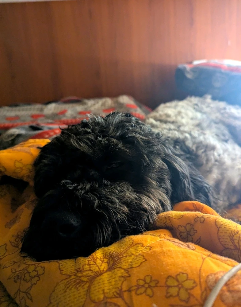 GIF caricata da Salvatore