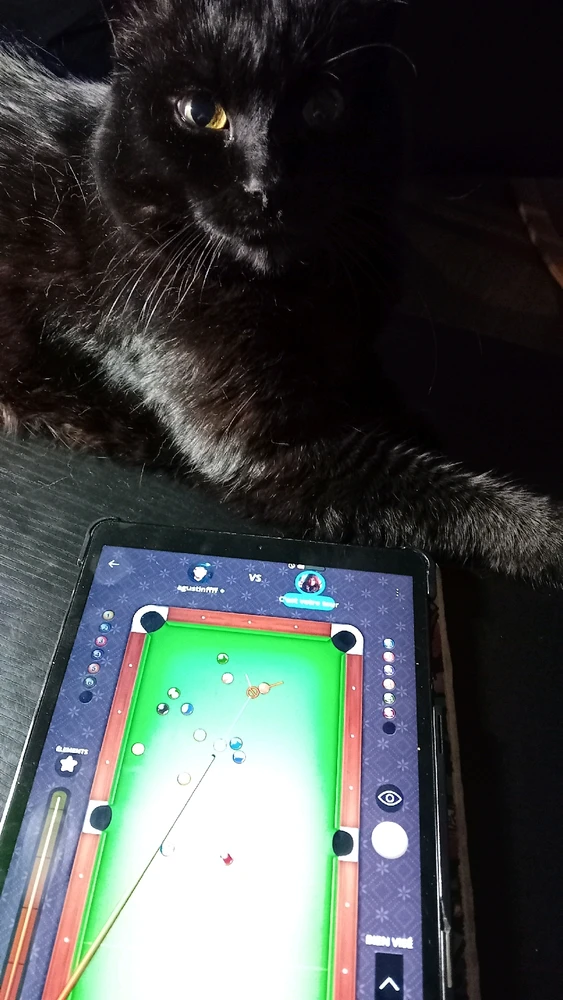 Mister réré le billard