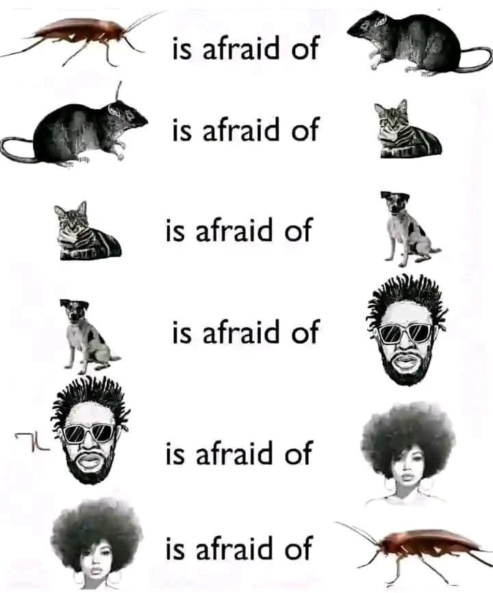 GIF uploaded by Astharea