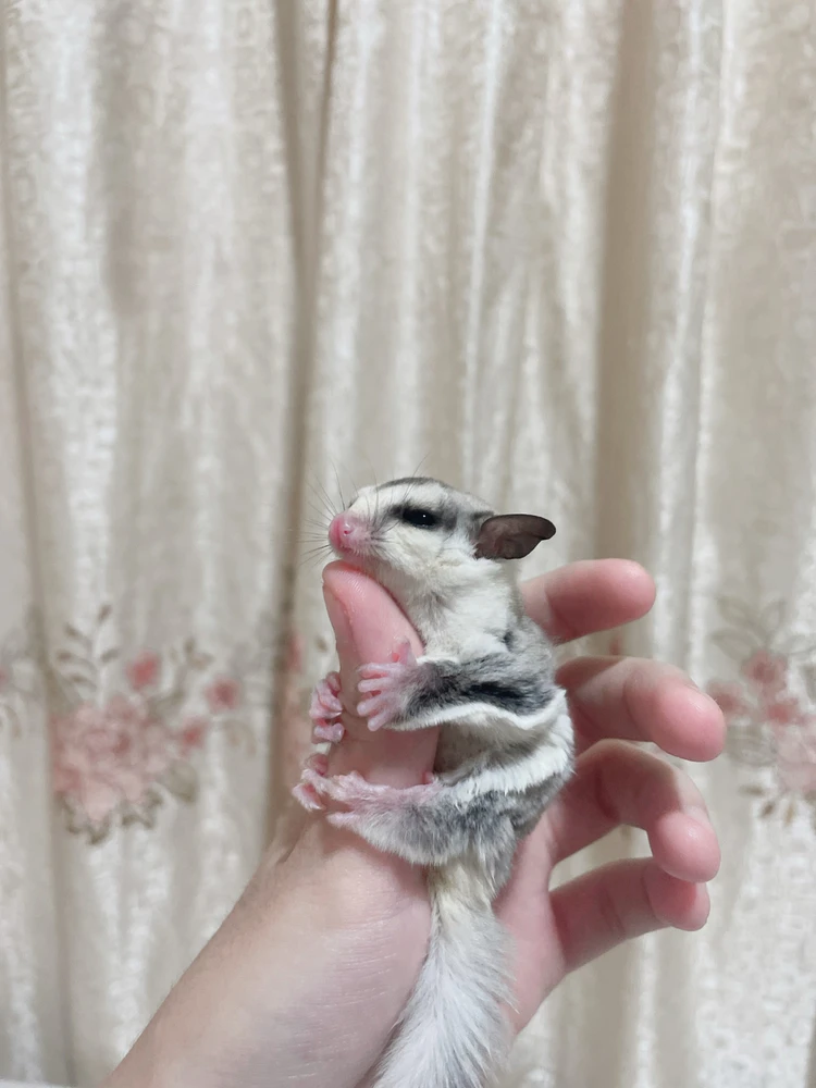 Image uploaded by Liu