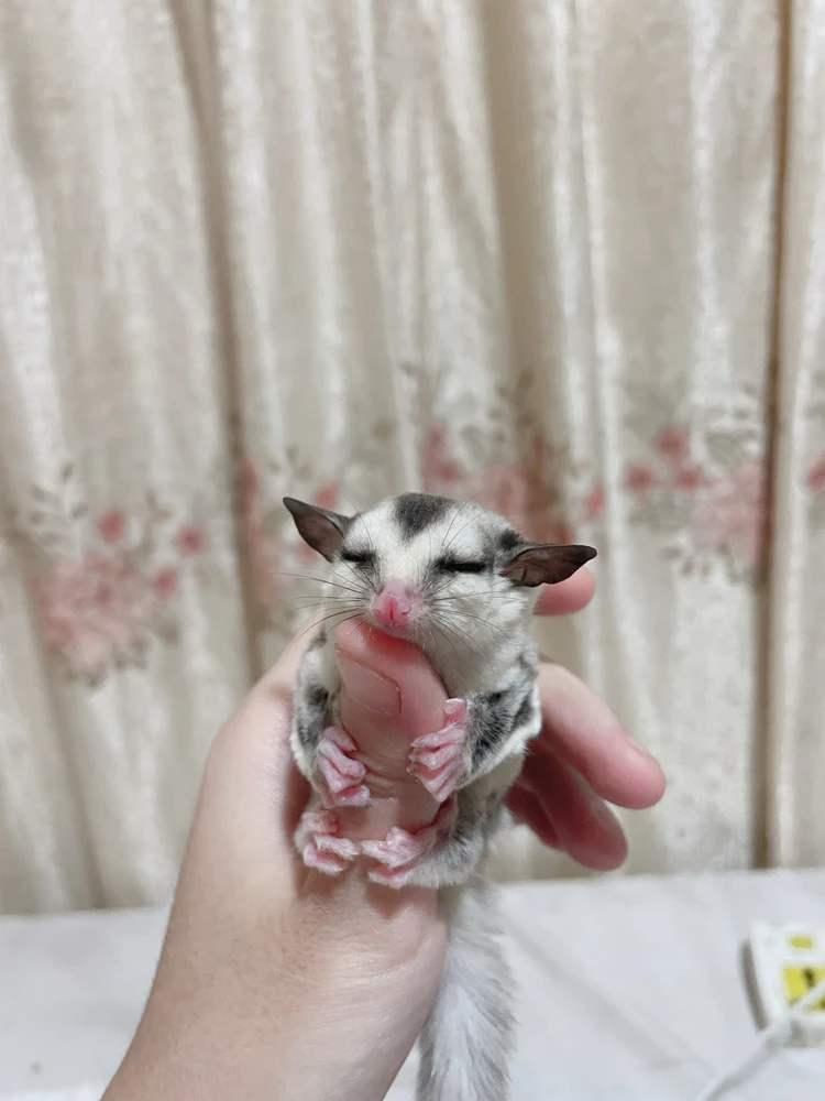 Image uploaded by Liu