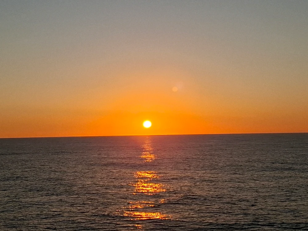 Image uploaded by Alexa