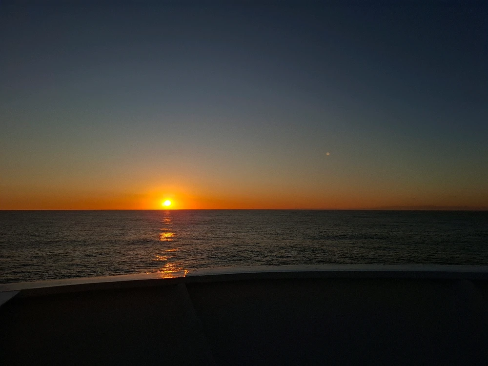 Image uploaded by Alexa