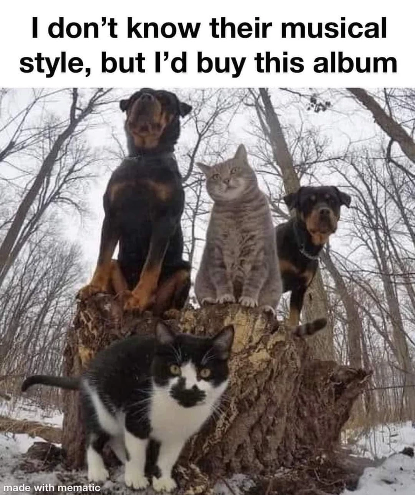 GIF uploaded by M̷̷A̷̷R̷̷I̷̷A̷̷ ̷A̷̷N̷̷G̷̷E̷̷ ̷🖤