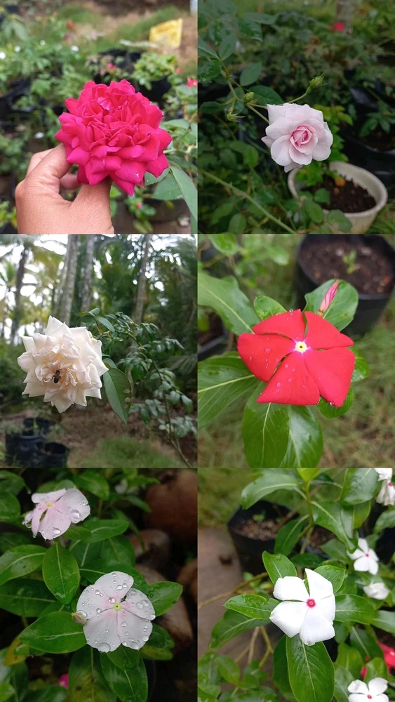 GIF uploaded by Lola