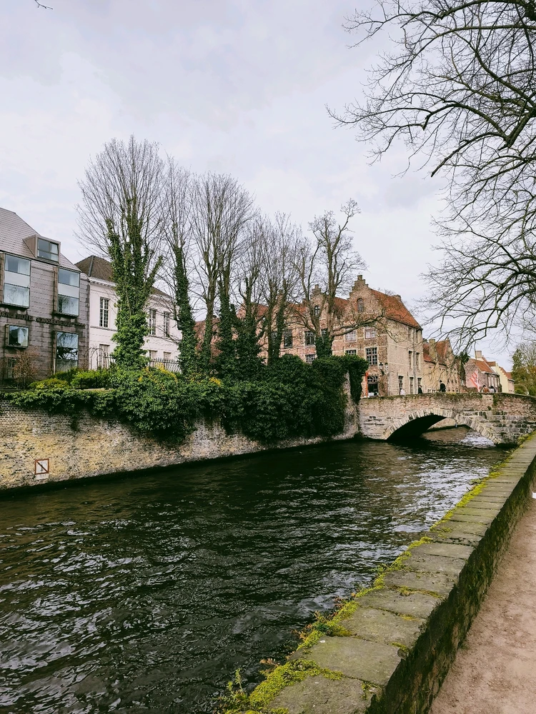 Image uploaded by Robert