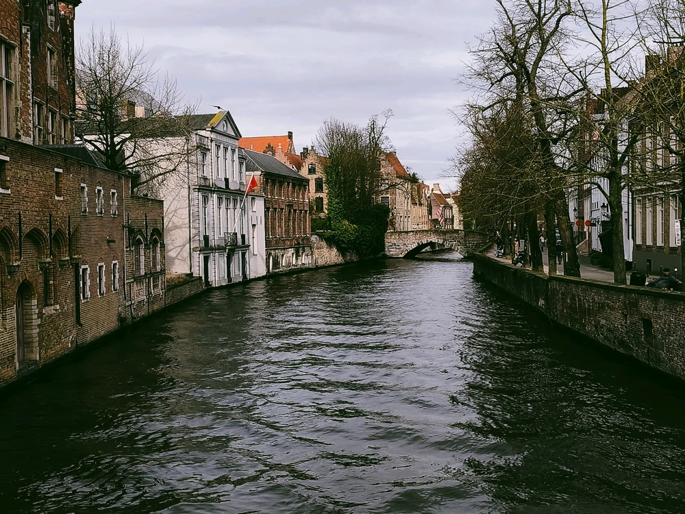 Image uploaded by Robert