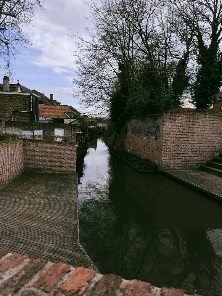 Image uploaded by Robert