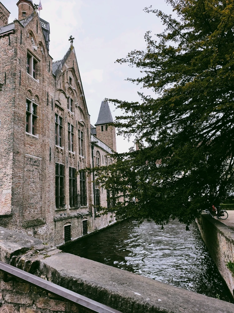 Image uploaded by Robert