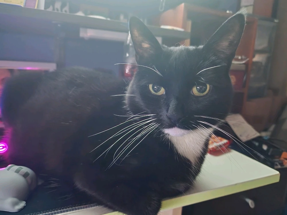 GIF uploaded by Eric