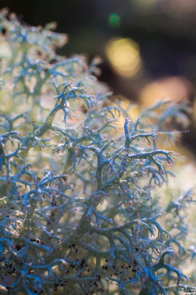 GIF ajouté par Benoît