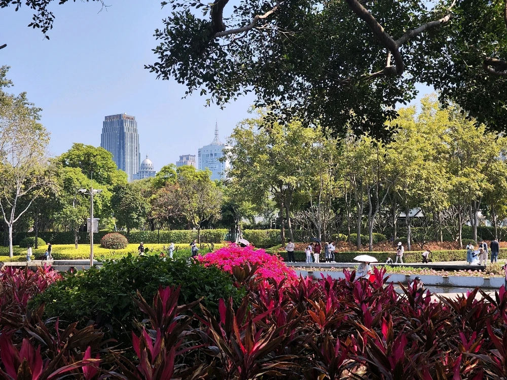Fran上傳的圖片