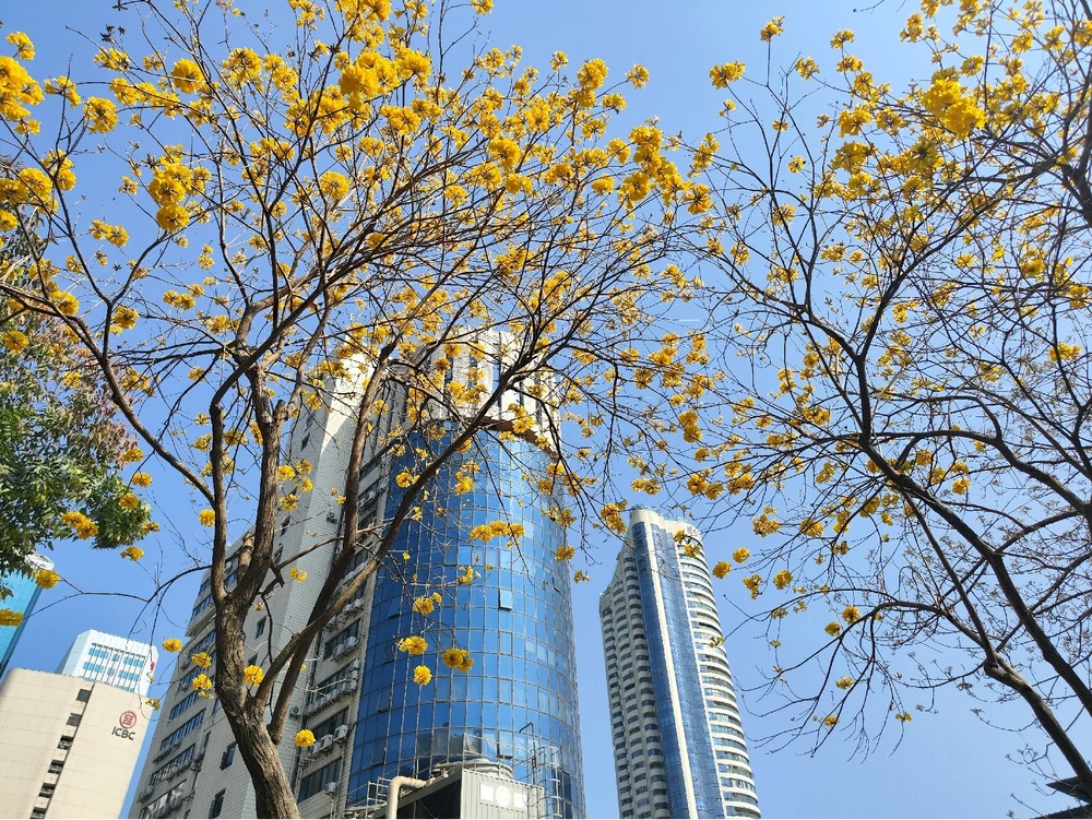 Fran上傳的圖片