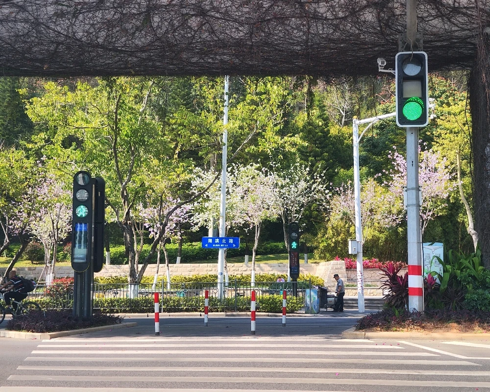 Fran上傳的圖片