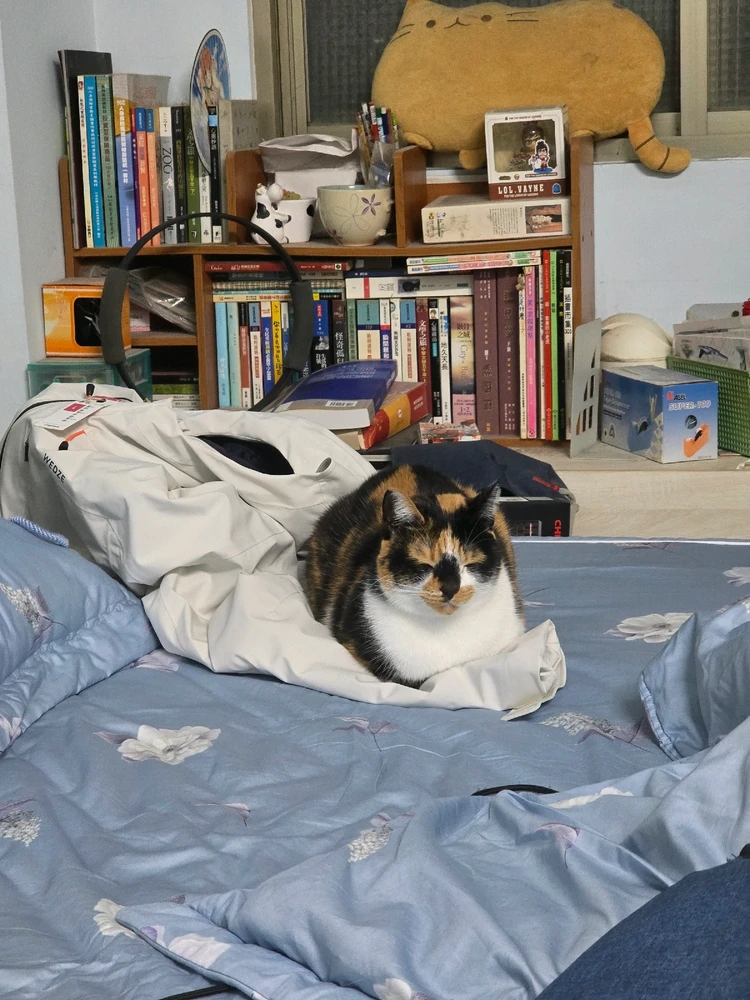 Russell 上傳的 GIF