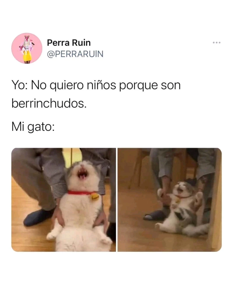 GIF subido por Oz