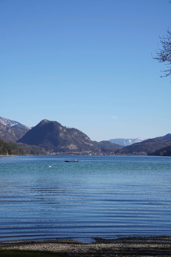 Image uploaded by Patrick