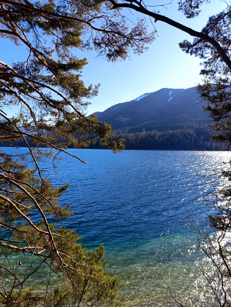 Image uploaded by Patrick