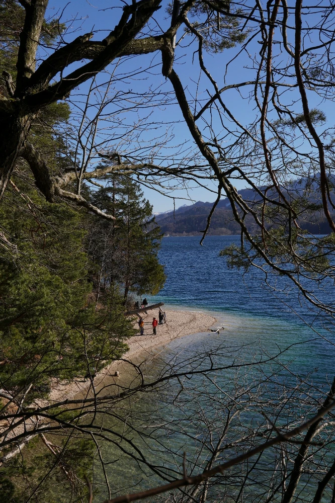 Image uploaded by Patrick