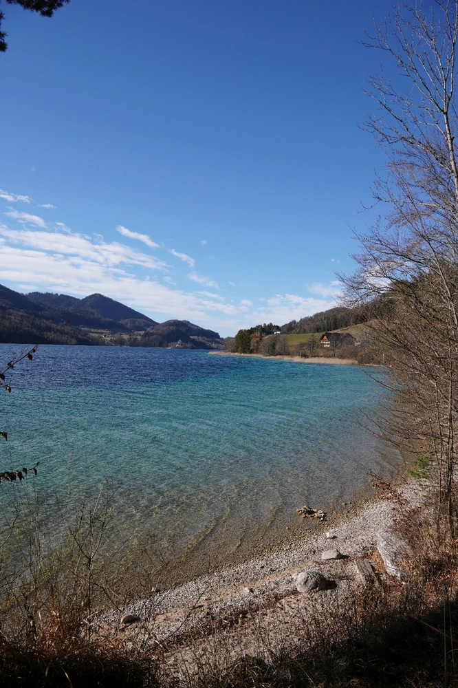 Image uploaded by Patrick