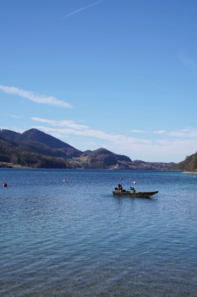 Image uploaded by Patrick