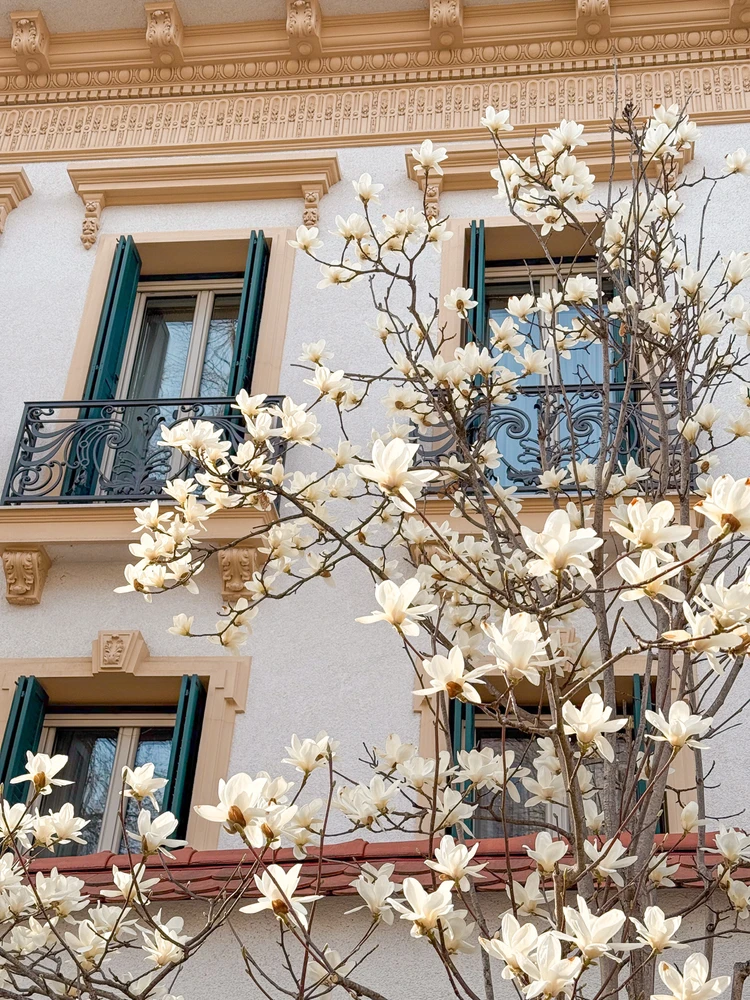 Imagine încărcată de Andrei Grigoras