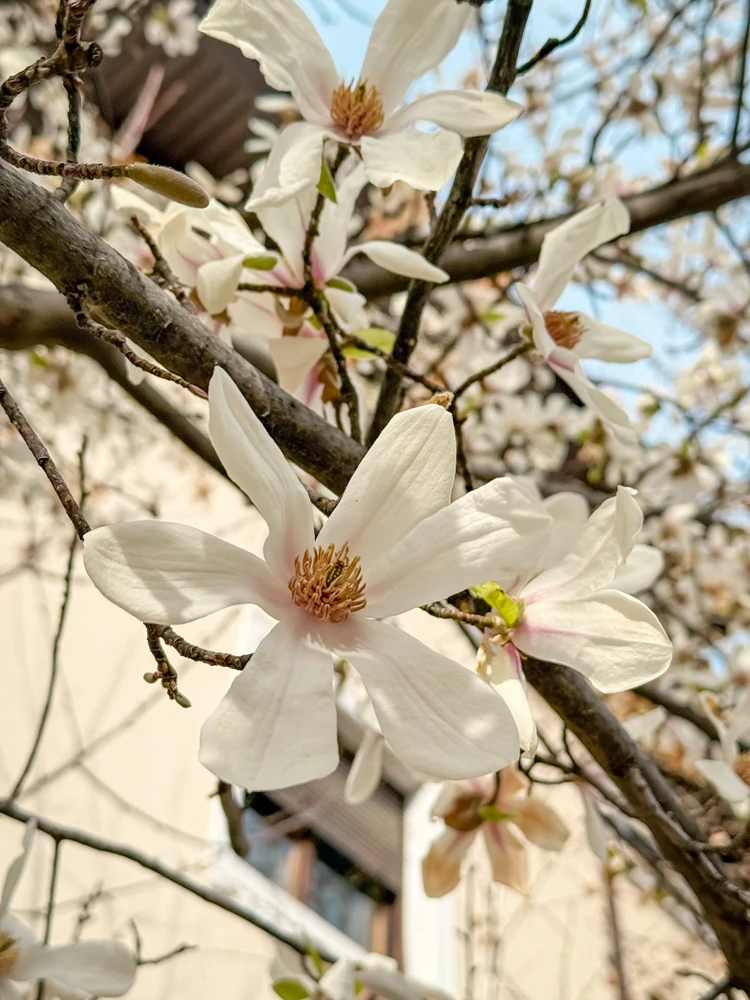 Imagine încărcată de Andrei Grigoras