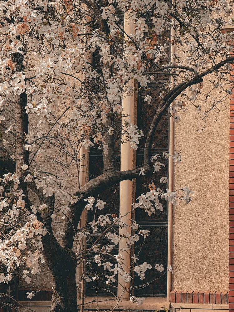 Imagine încărcată de Andrei Grigoras