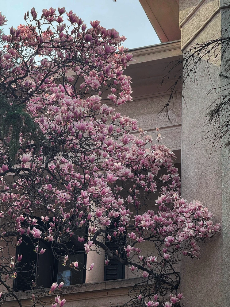 Imagine încărcată de Andrei Grigoras