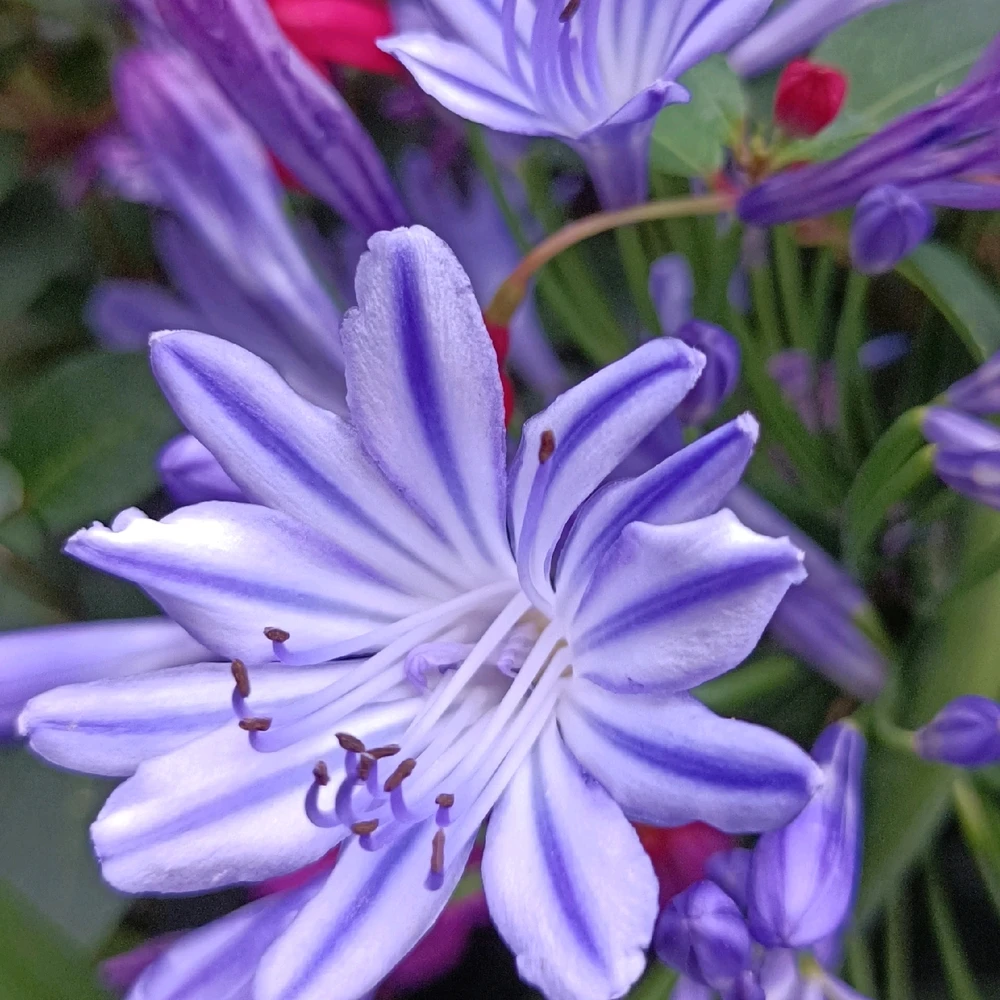 Image uploaded by Eleanor