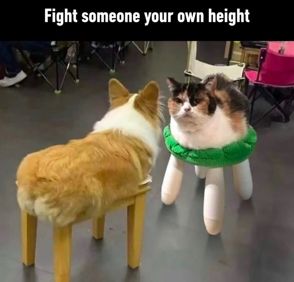 GIF uploaded by Jéssica
